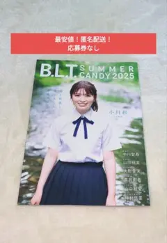 【最安値！匿名配送】blt　Summer Candy　2025　応募券なし
