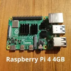 Raspberry Pi 4 model b 4GB