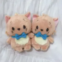 トゥルーズ うるぽちゃちゃん