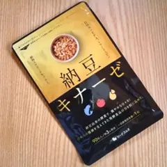 納豆キナーゼ　約３ヶ月分　ＤＨＡ　納豆菌　ナットウ　シードコムス　サプリメント