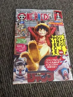 新品未開封 ワンピースマガジン第20号 ルフィプロモ付 1冊