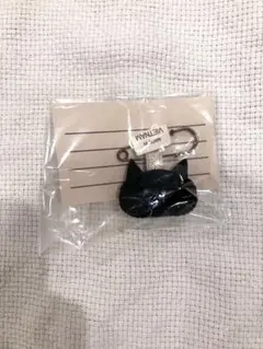 飛行船