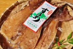 北海道産特大松前するめ10枚で約600gビール酎ハイのおつまみプレゼントにも 希少な特大☆松前するめ10枚で約600gビール酎ハイのおつまみプレゼント