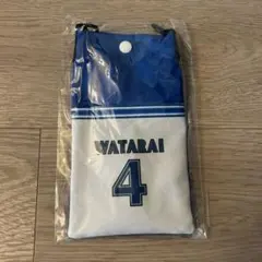 Item thumbnail for item 6dda8324-bb45-4983-adea-c9118cd2a61f