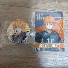 ハイキュープラザ 購入特典 日向 翔陽