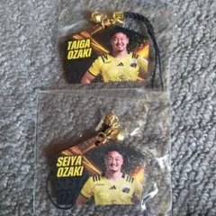 Item thumbnail for item b83f9eb5-65c5-408d-a50f-90276eccc900