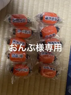 おんぷ様専用