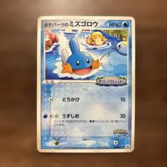 ポケパークのミズゴロウ PROMO PCG-Pプロモカード 048/PCG-P - メルカリ