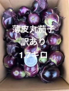 山形県産　薄皮丸茄子　訳あり　 1.7キロのサムネイル