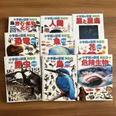 小学館の図鑑NEO 昆虫　恐竜　鳥　魚　花　岩石　人間　星と星座　危険生物　9冊