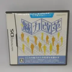 ビズ能力DSシリーズ 魅力改革