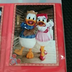 ディズニー　ディズニーランド スペシャルフォト　ドナルド　デイジー