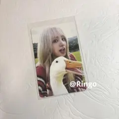 マル様 リクエスト 3点 まとめ商品