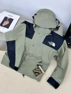 新品タグ付き　ノースフェイスGORE-TEX NF0A3XCO9B8 L