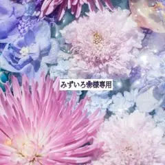 【みずいろ‎✿様専用】