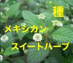 hoicari様 リクエスト 2点 まとめ商品