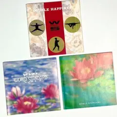 ワールドスタンダード 初期3作品 CDセット 細野晴臣プロデュース 帯付