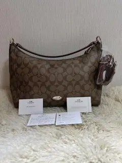 希少美品 COACH オールドコーチ Y2K ホーボー ハンドバッグ 付属品