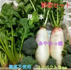 大根 野菜