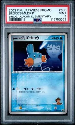 2005 ポケパークのミズゴロウ ポケパークプレミアムファイル 003/009