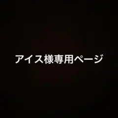 専用ページ