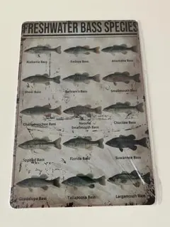 FRESHWATER BASS SPECIES ブリキ看板 レトロ インテリア