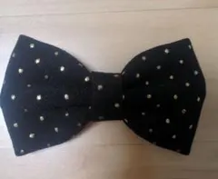 Item thumbnail for item f7e867e4-4861-49a3-9ba5-7f4a6ea3d6c0