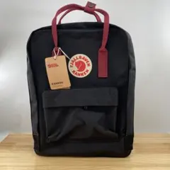 フェールラーベン カンケン バックパック v