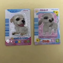 Item thumbnail for item 8e18b0a7-a02a-4718-921b-a650615c169d