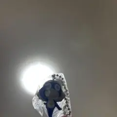 Item thumbnail for item 5b256d33-74ef-4bca-b575-f33803927599