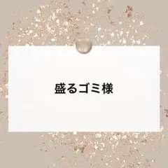 盛るゴミ様 リクエスト 2点 まとめ商品