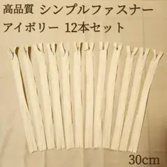 新商品 ファスナー 12本セット 30cm アイボリー ハンドメイド パーツ