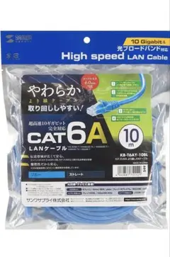 CAT6A LANケーブル 10m 青