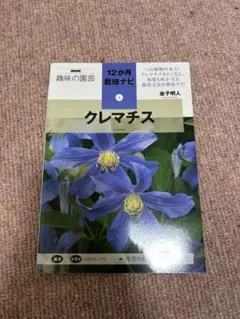 クレマチス 抜き苗 第4種発送 - メルカリ
