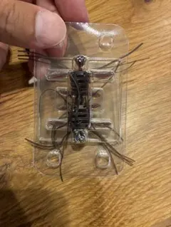 Item thumbnail for item d42bf5ca-8886-475b-82fd-0072534ae490