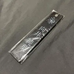 Item thumbnail for item c1011911-d21a-422f-83c3-6f97cd9c575b