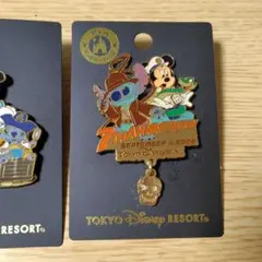 東京ディズニーリゾート 30周年 ピンバッジ セット ディズニーシー