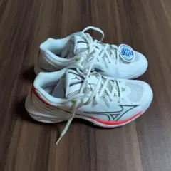MIZUNO WAVE CLAW 3E バドミントンシューズ（22センチ）