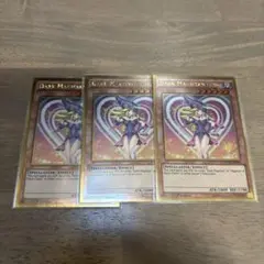 遊戯王　ブラック・マジシャン・ガール　英語版　3枚 ゴールドレア