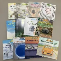 【専用】ちいさなかがくのとも 12冊 2021年4月号〜2022年3月号