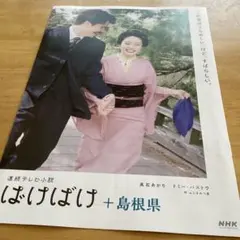 朝ドラ　ばけばけパンフレットフルセット　出雲、松江観光案内パンフレット一式