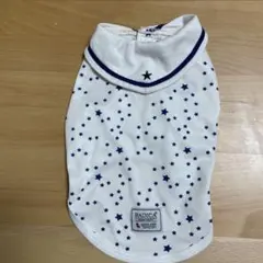 Item thumbnail for item e6a49ffa-353c-4c69-97a0-34066ed7bf25