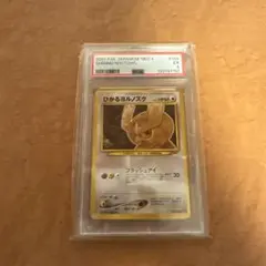 2025年最新】ひかるヨルノズクの人気アイテム - メルカリ