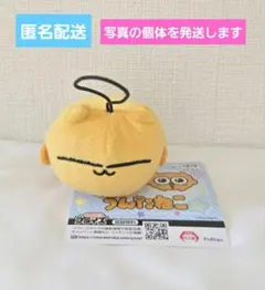 まねきねこ お茶わん - メルカリ