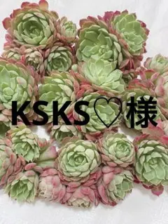 KSKS♡様 リクエスト 2点 まとめ商品