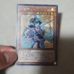 守護神官マナ