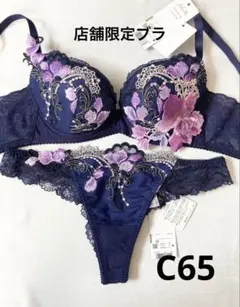 2026年最新】サルート リッチヴェール c65の人気アイテム - メルカリ
