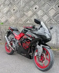 Kawasaki Ninja 本体 セル1発 通勤通学にも可 - メルカリ