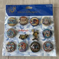 東京ディズニーシー ピンバッジセット 12個