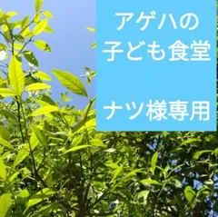 ナツ様専用　マイヤーレモンの枝付き葉150枚　アゲハの子ども食堂